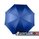 ParaguasKarlovy-Azul