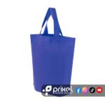 Bolsa-Essva-Azul-Logo