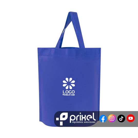 Bolsa-Essva-Azul-Logo